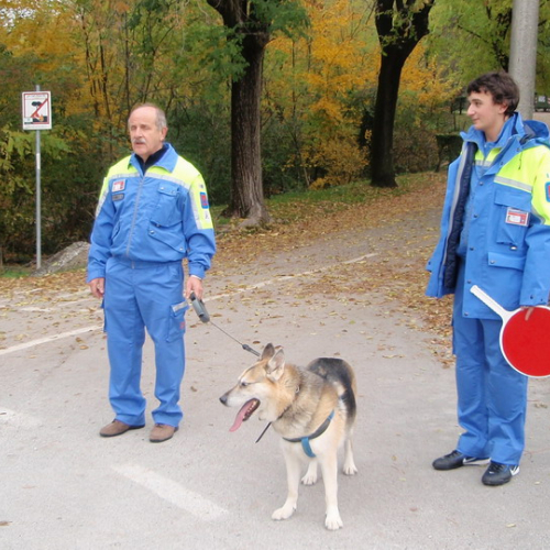 Attivit‡ supporto 15/11 n. 8 / 45172