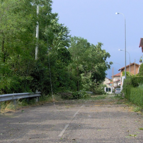 Dignano Via Banfi / 3574