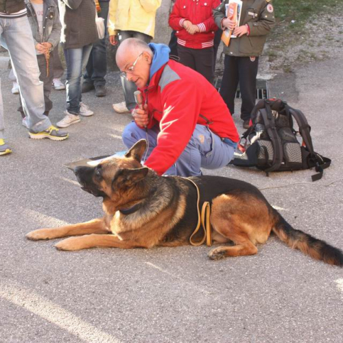 Attivit‡ Villa Santina n. 10 / 71765