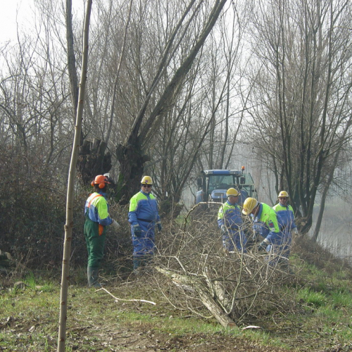 foto 02/03/08 n. 23 / 21161