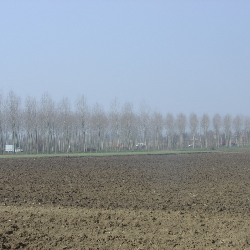 foto 02/03/08 n. 37 / 21175