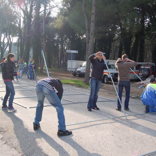 Domenica 17 / 21446