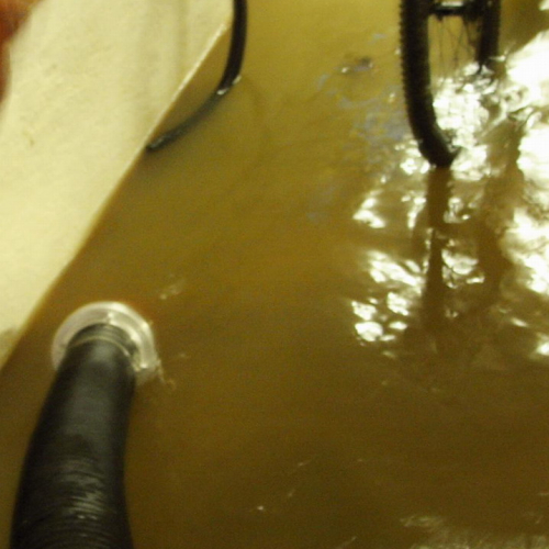 Foto 07/06 n. 4 / 25707