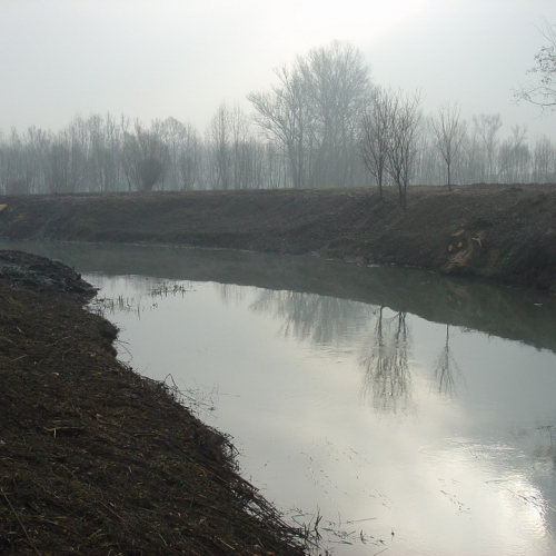 foto 02/03/08 n. 39 / 21177