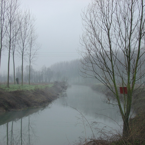 foto 02/03/08 n. 41 / 21179