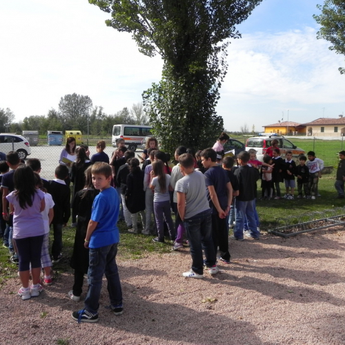 Prova di evacuazione scuola di San Martino Spino n. 37 / 86788