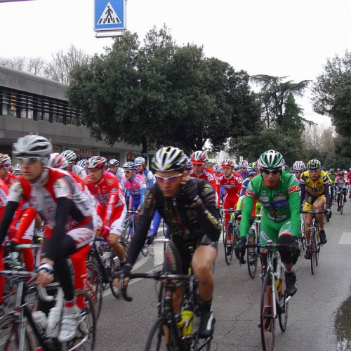 31∞ Giro del Friuli Venezia Giulia 2 / 35568