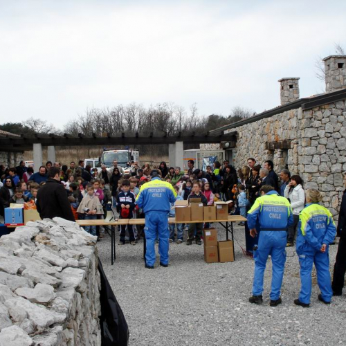 Festa degli alberi 2009 2 / 35949