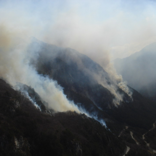 Intervento antincendio del 20/03 n. 2 / 36202