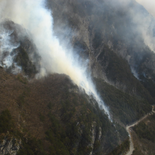 Intervento antincendio del 20/03 n. 3 / 36203