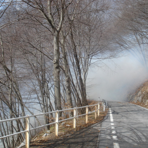 Intervento antincendio del 20/03 n. 5 / 36205