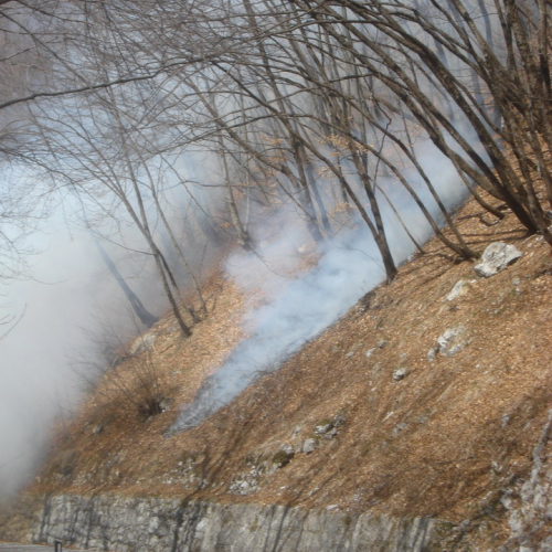 Intervento antincendio del 20/03 n. 7 / 36207