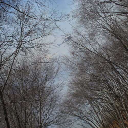 Intervento antincendio del 20/03 n. 8 / 36208