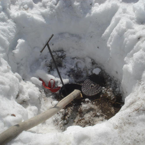 Intervento antincendio del 20/03 n. 13 / 36213