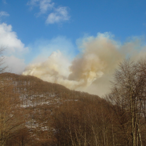 Intervento antincendio del 20/03 n. 22 / 36222