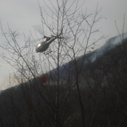 Incendio 22/03  a Barcis n. 2 / 36263