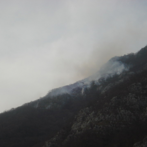 Incendio 22/03  a Barcis n. 12 / 36273