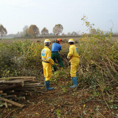 Attivit‡ di prevenzione 13-14/11/2010 n. 2 / 59796