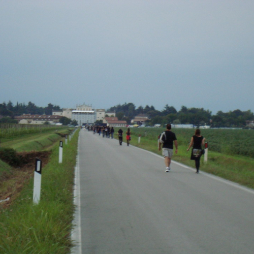 Attivit‡ di supporto concerto 17/08 n. 4 / 55259