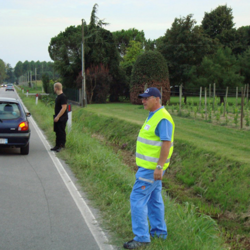 Attivit‡ di supporto concerto 17/08 n. 5 / 55260