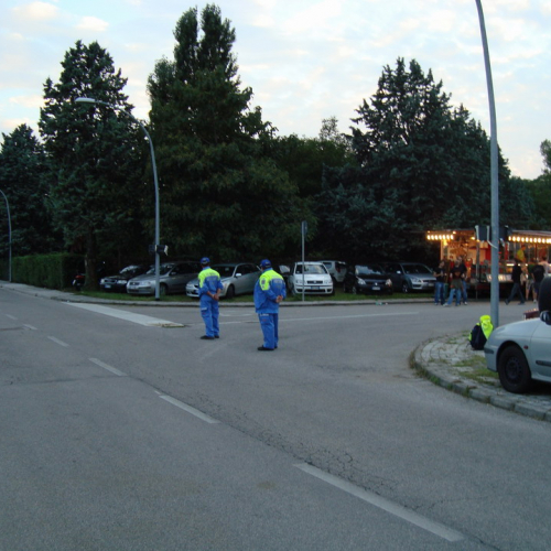 Attivit‡ di supporto concerto 17/08 n. 11 / 55266