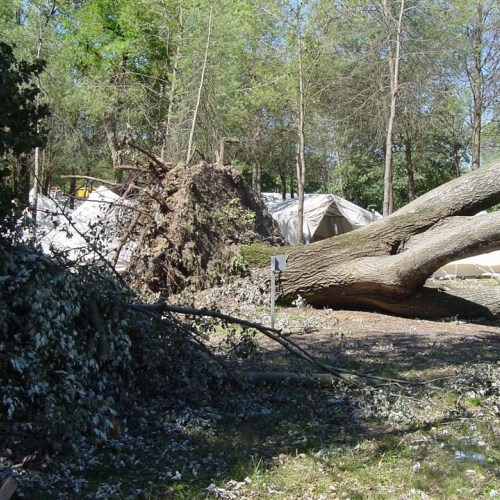 Lavori messa in sicurezza Belvedere" 1""avori messa " / 28756