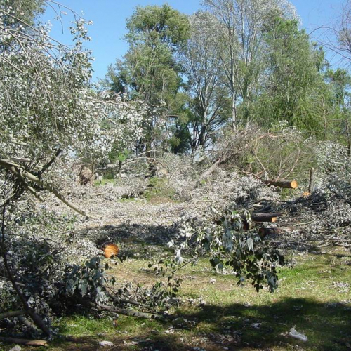 Lavori messa in sicurezza Belvedere" 2""avori messa " / 28757