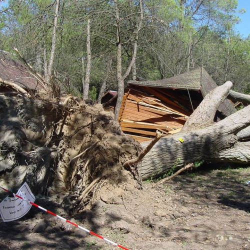 Lavori messa in sicurezza Belvedere" 3""avori messa " / 28758