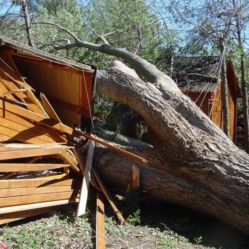 Lavori messa in sicurezza Belvedere" 4""avori messa " / 28759