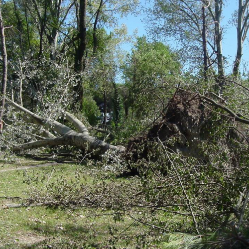 Lavori messa in sicurezza Belvedere" 5""avori messa " / 28760