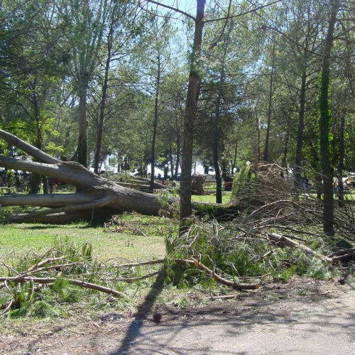 Lavori messa in sicurezza Belvedere" 6""avori messa " / 28761