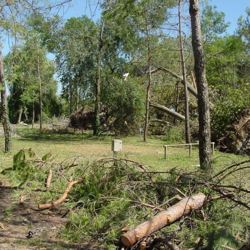 Lavori messa in sicurezza Belvedere" 7""avori messa " / 28762