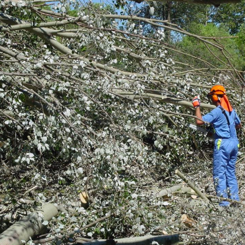 Lavori messa in sicurezza Belvedere" 8""avori messa " / 28763