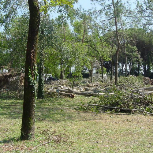 Lavori messa in sicurezza Belvedere" 9""avori messa " / 28764