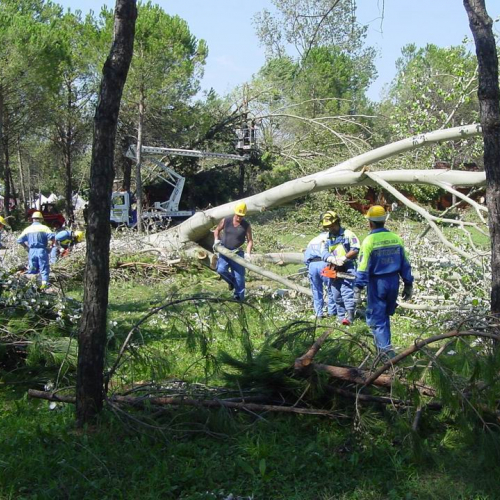 Lavori messa in sicurezza Belvedere" 10""avori messa i" / 28765