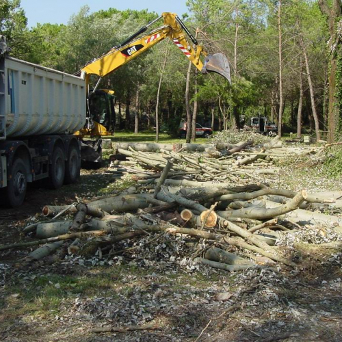 Lavori messa in sicurezza Belvedere" 11""avori messa i" / 28766