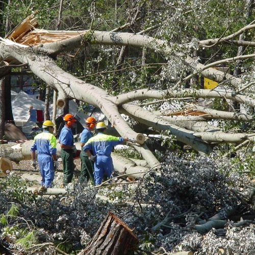Lavori messa in sicurezza Belvedere" 12""avori messa i" / 28767