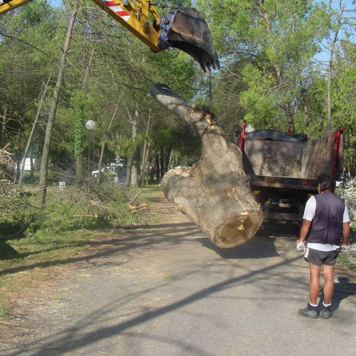 Lavori messa in sicurezza Belvedere" 14""avori messa i" / 28769