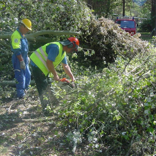 Lavori messa in sicurezza Belvedere" 15""avori messa i" / 28770