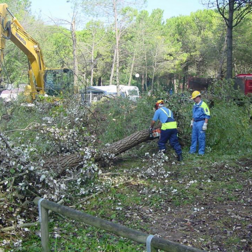 Lavori messa in sicurezza Belvedere" 18""avori messa i" / 28773