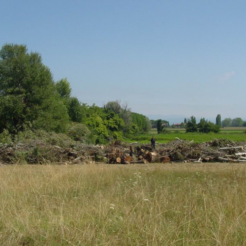 Lavori messa in sicurezza Belvedere" 20""avori messa i" / 28775