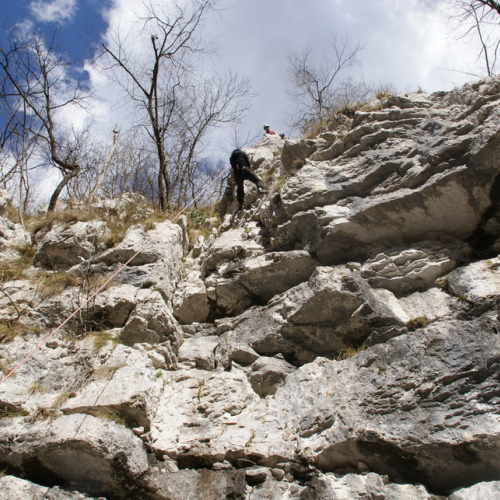 Campi Scuola (21.03.2013) n. 71 / 92777