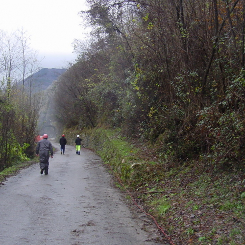 Lavori a novembre 2010 n.8 / 60289