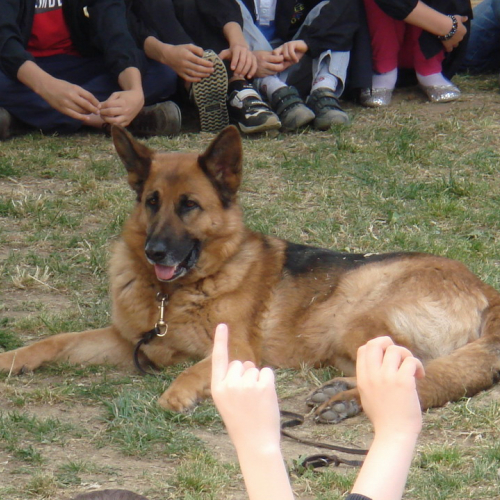 Prova evacuazione 12/05 n. 3 / 65877