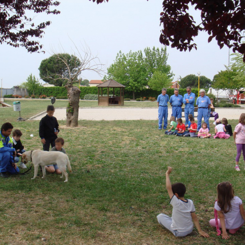 Prova evacuazione 12/05 n. 6 / 65880