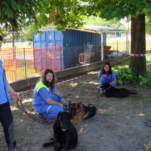 Prova evacuazione 18/05 n. 5 / 65886