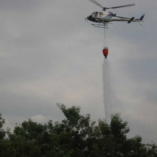 Incendio 09/08 n. 6 / 41399