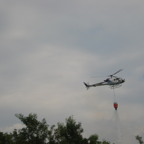 Incendio 09/08 n. 7 / 41400