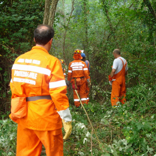 Incendio 09/08 n. 9 / 41402