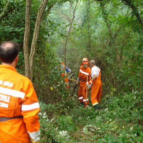 Incendio 09/08 n. 10 / 41403